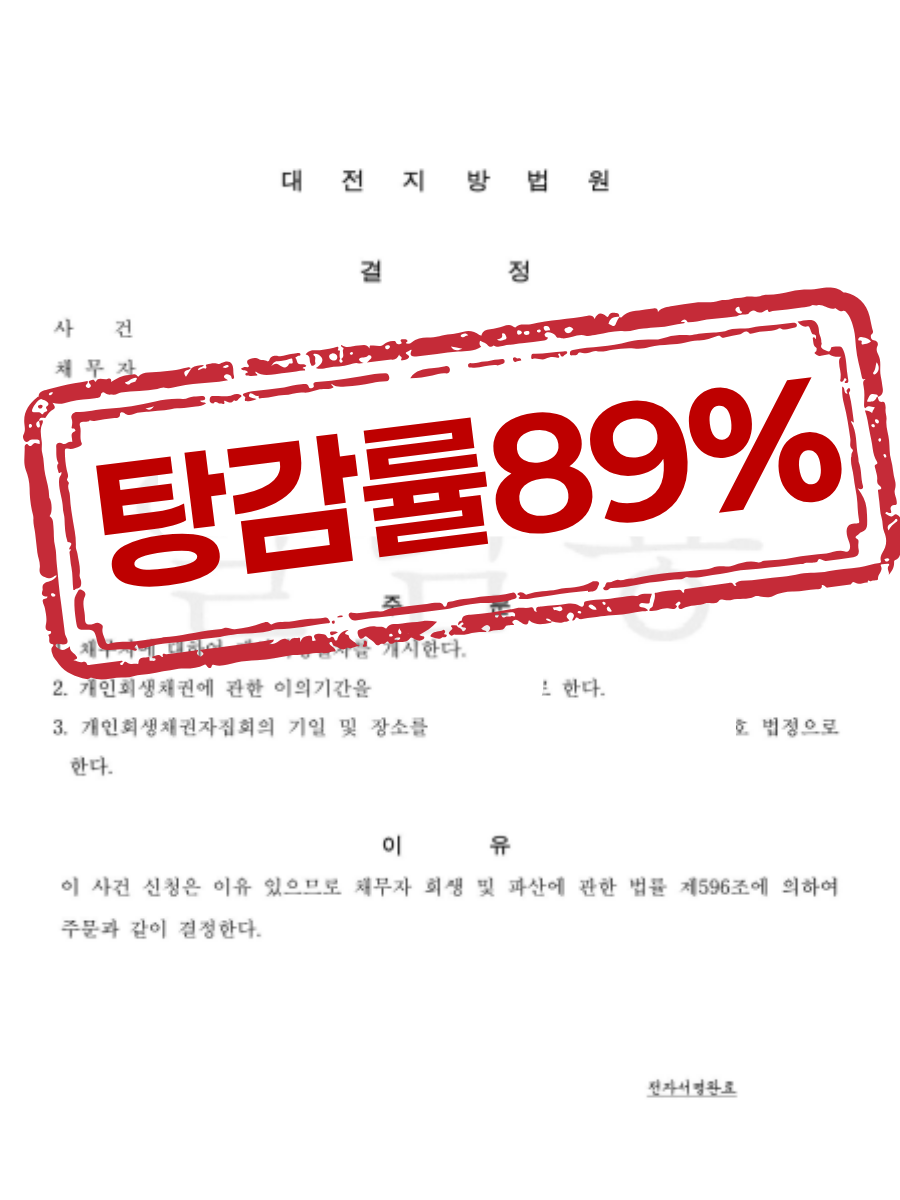 대전지방법원 개시결정문 — 탕감률 88%